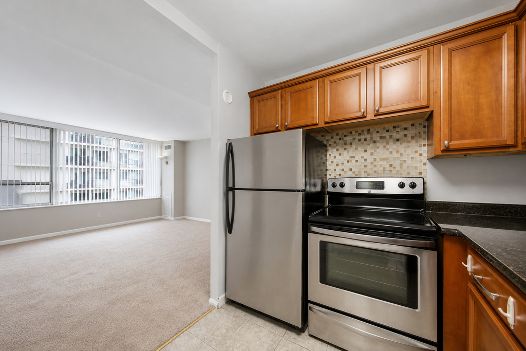 233 E Erie Street - Photo 7