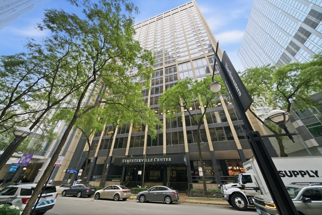 233 E Erie Street - Photo 1