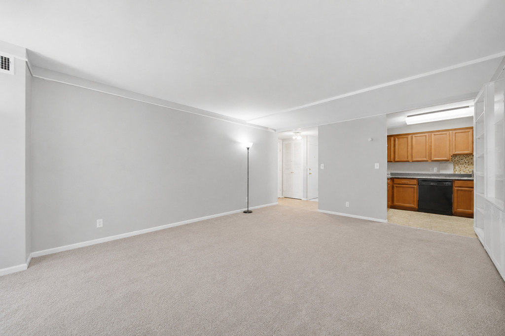 233 E Erie Street - Photo 5