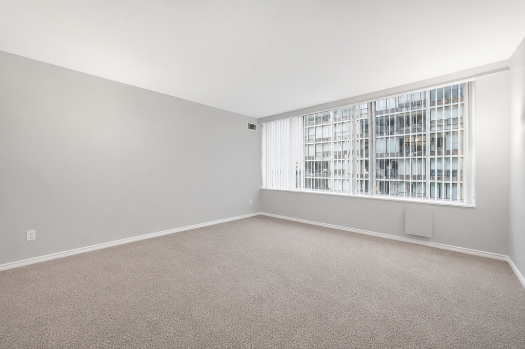 233 E Erie Street - Photo 11