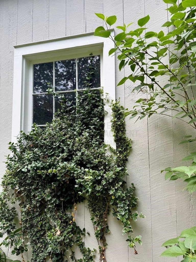 11 Hobbs - Photo 13