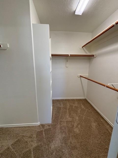 6159 Morningshire Lane - Photo 34