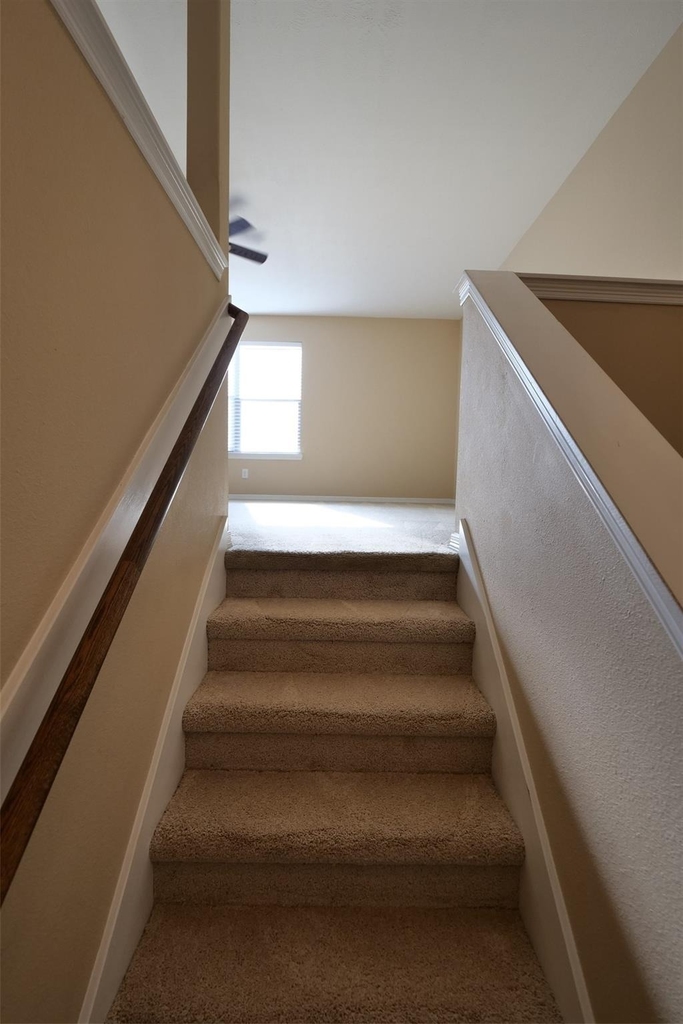 27131 Danbridge Gulch Lane - Photo 22
