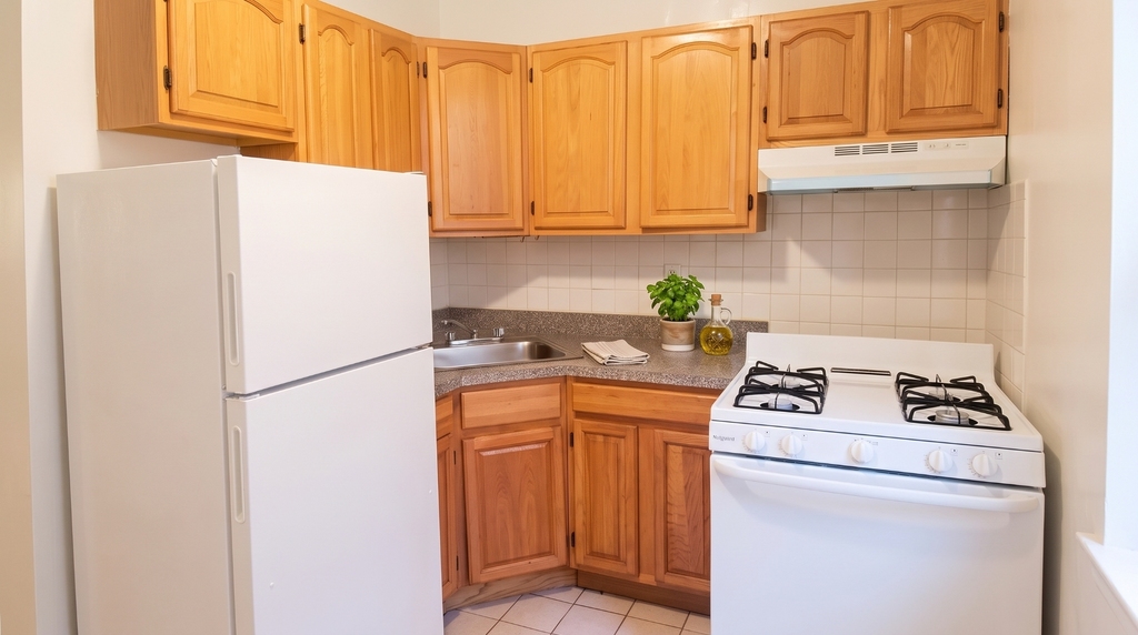 527 West 157th Street - Photo 2