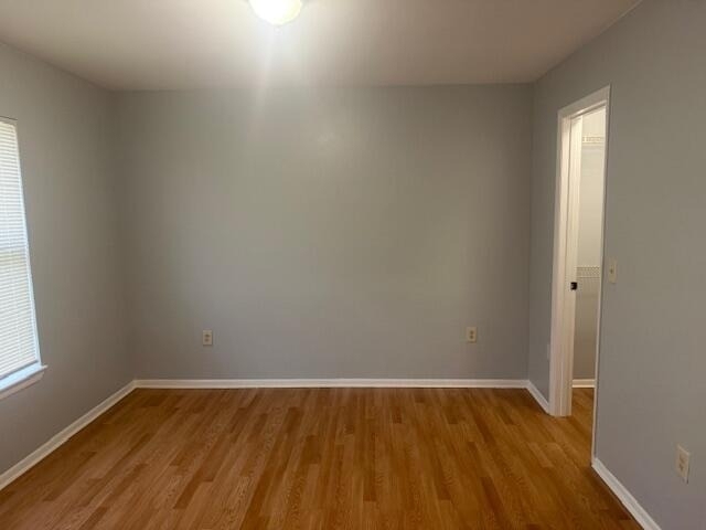 4807 Via Palm Lakes - Photo 7