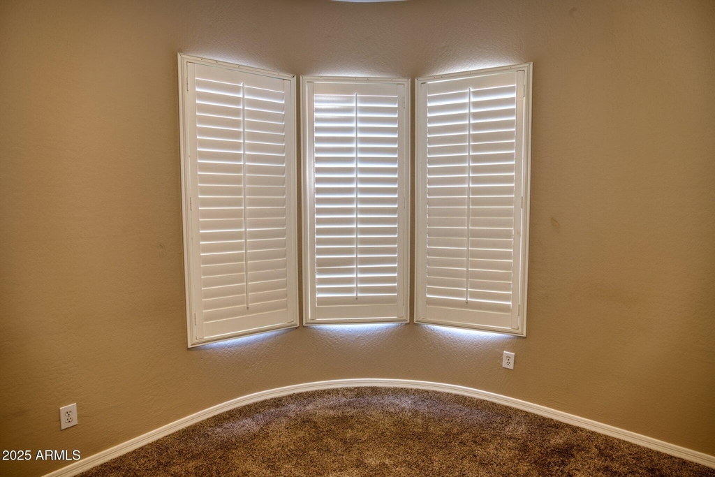 38540 N Vista Hills Court - Photo 47