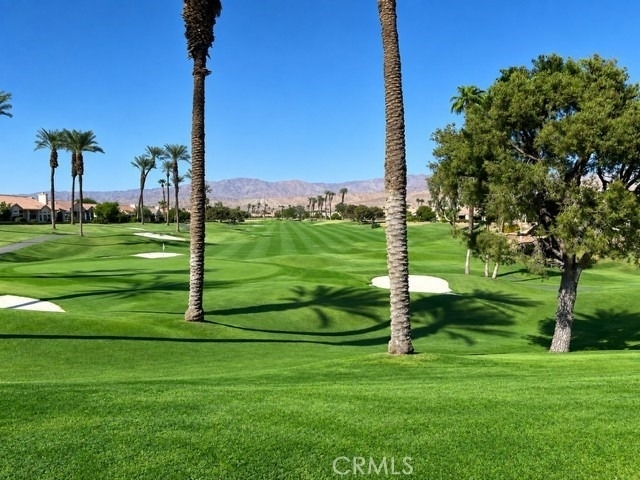 78964 Naranja - Photo 13
