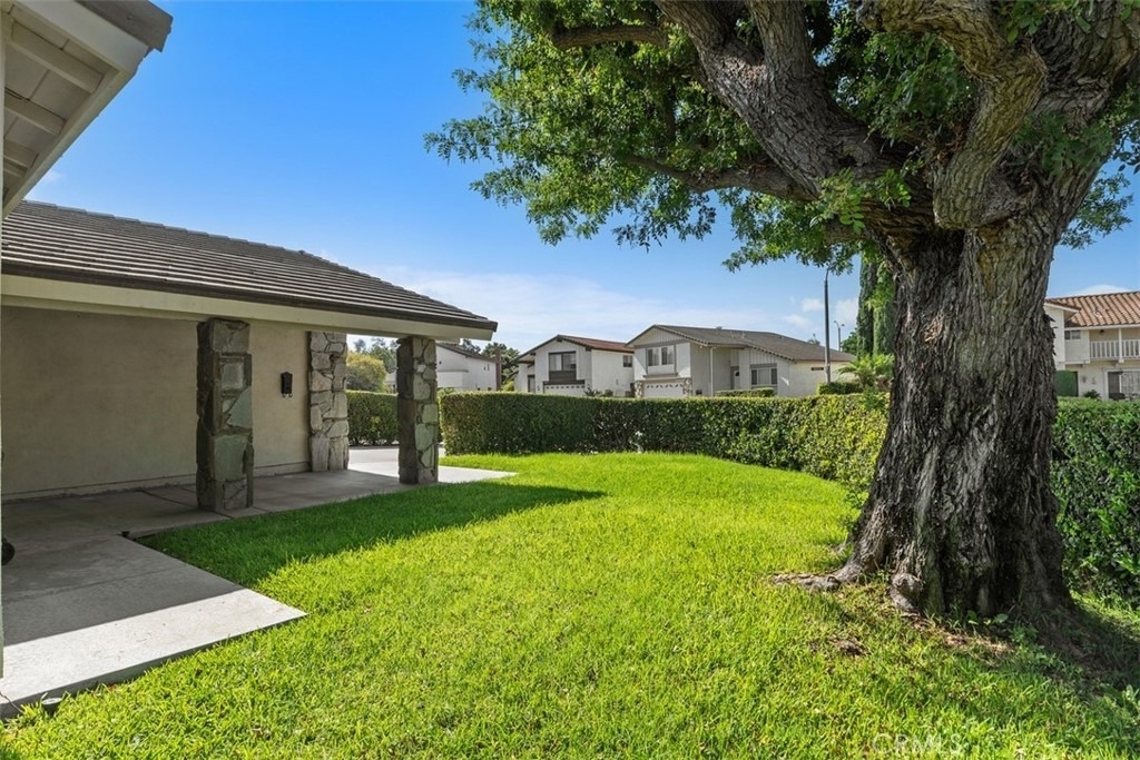 3491 Birch Street - Photo 3