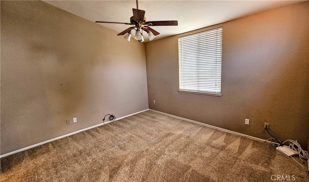 8429 Snow View - Photo 10
