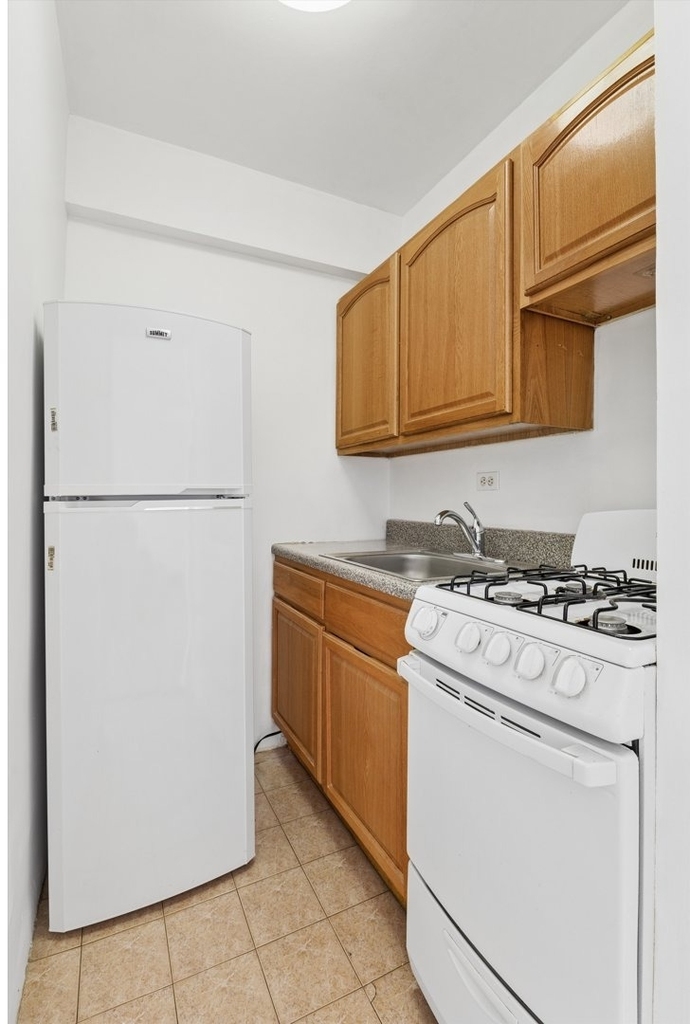 225 E 46th Street - Photo 4