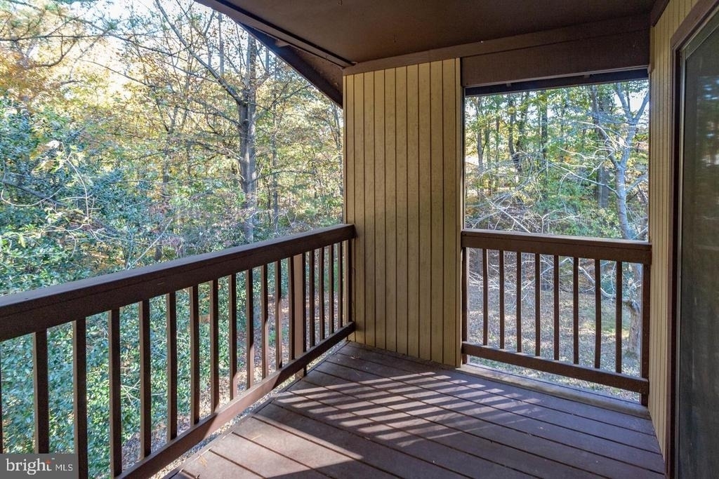 12303 Mulberry Court - Photo 17