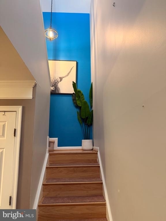 9258 Cardinal Forest Lane - Photo 2