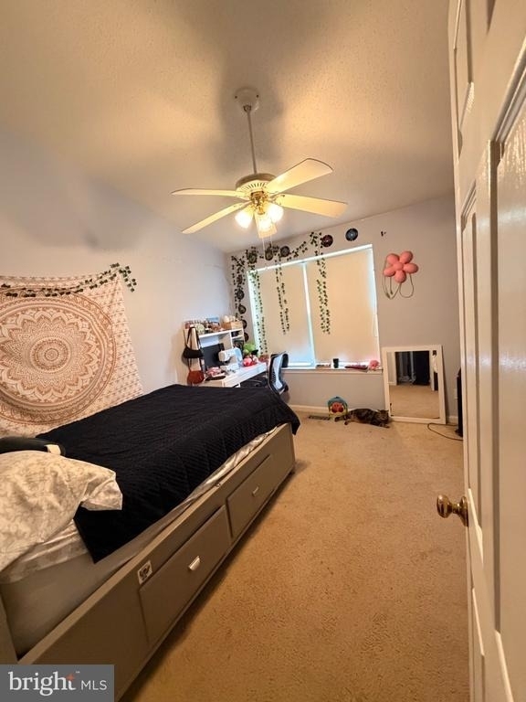 9258 Cardinal Forest Lane - Photo 6