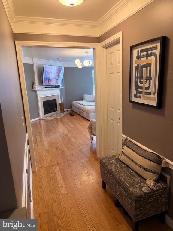 9258 Cardinal Forest Lane - Photo 11