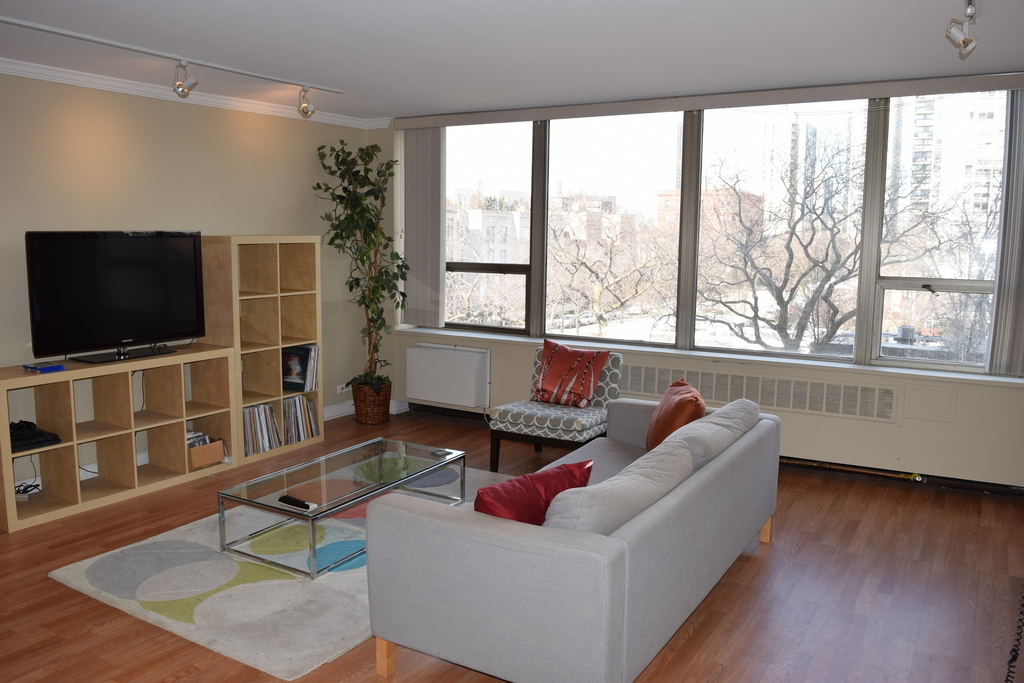 1360 N Sandburg Terrace - Photo 3