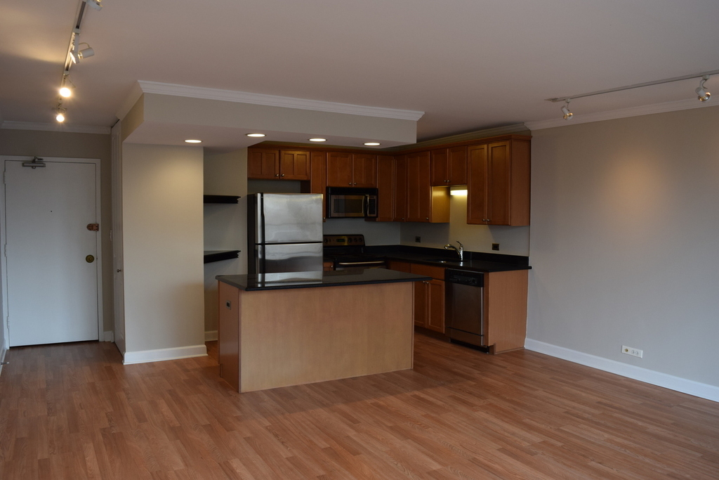 1360 N Sandburg Terrace - Photo 11