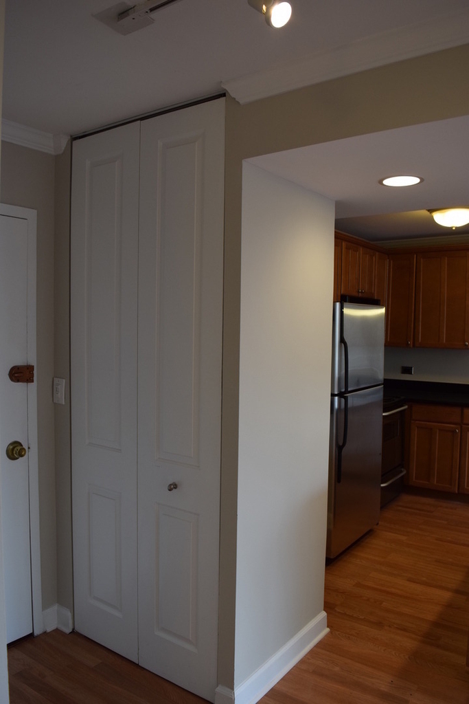 1360 N Sandburg Terrace - Photo 12