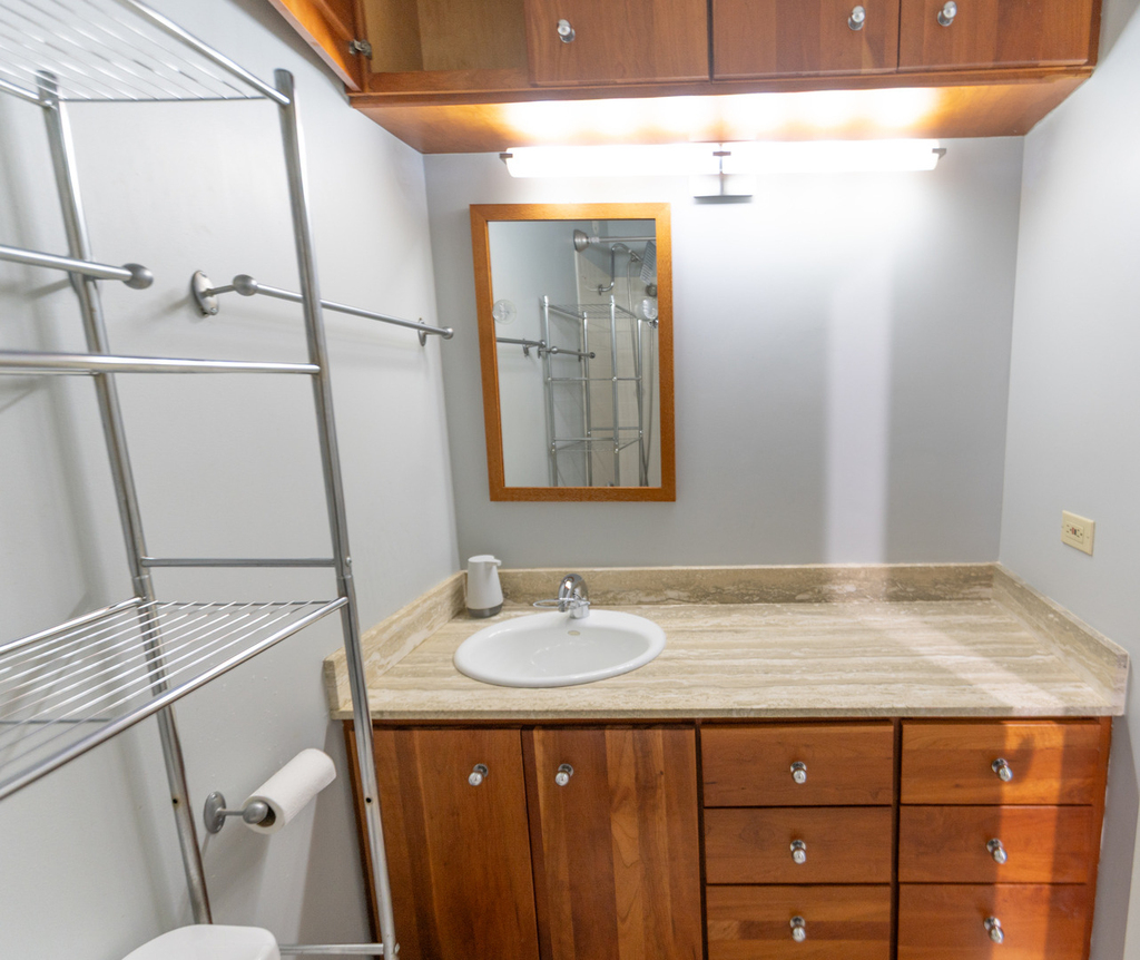 70 W Huron Street - Photo 21