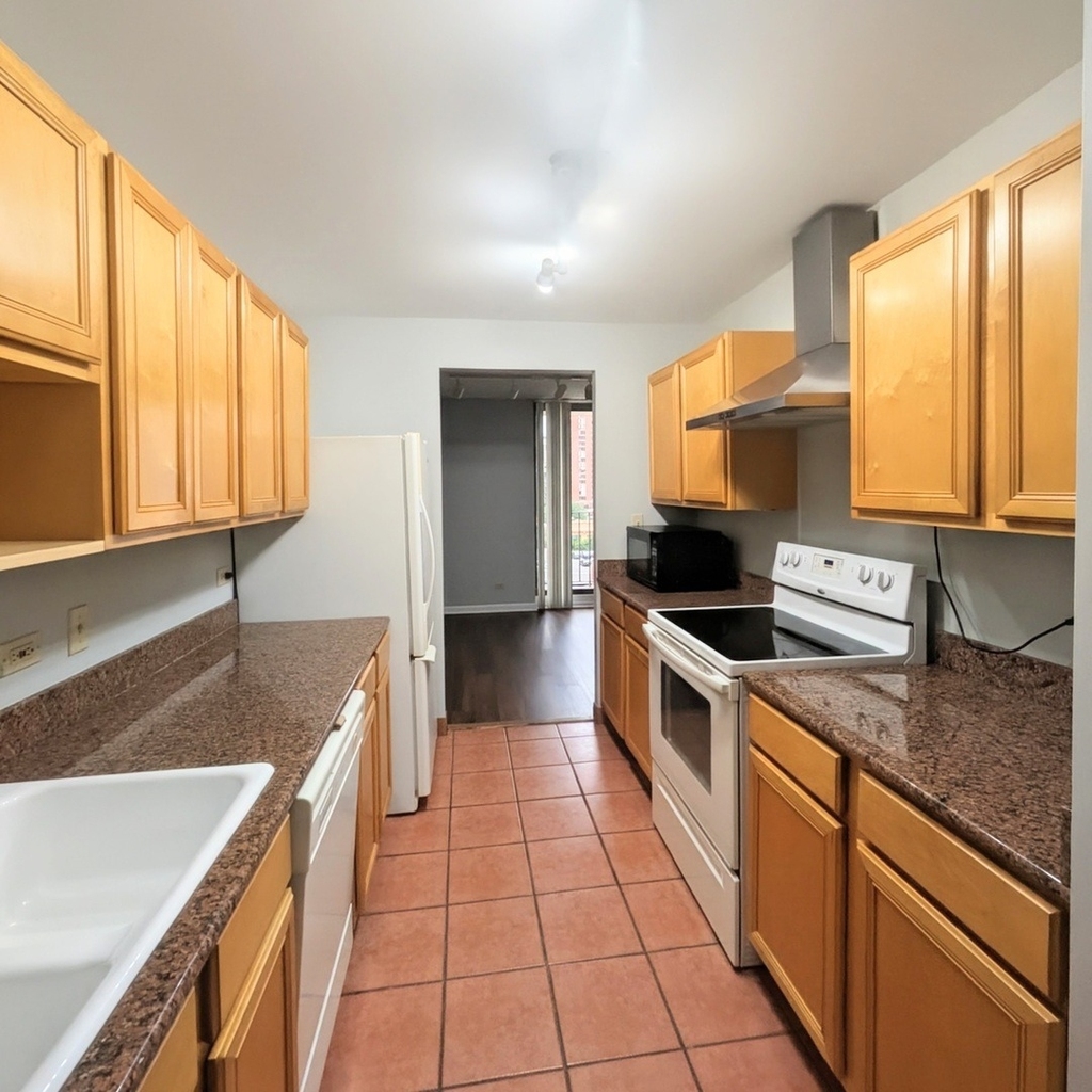 70 W Huron Street - Photo 10