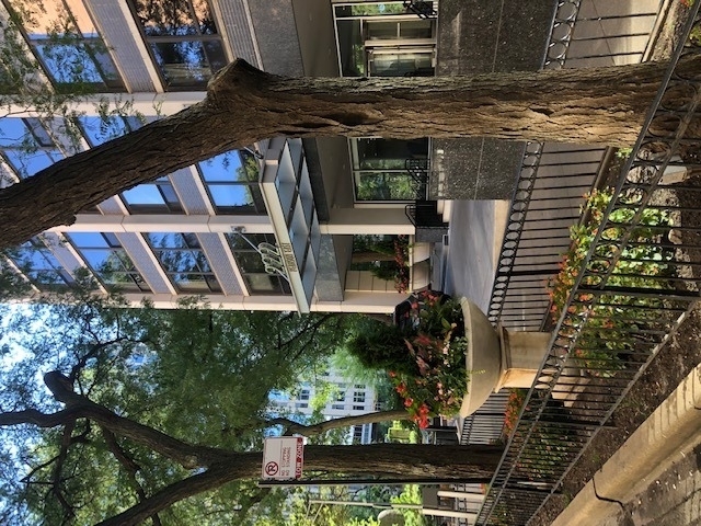 222 E Pearson Street - Photo 0