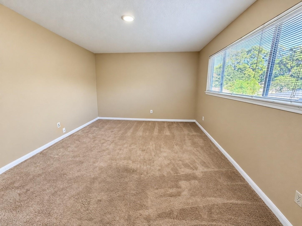 4807 Shatner Drive - Photo 9