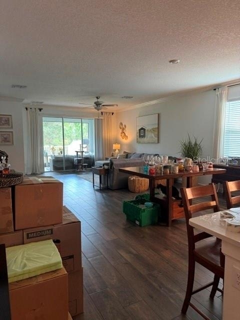17222 Mango Shay Court - Photo 13