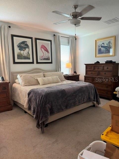17222 Mango Shay Court - Photo 4