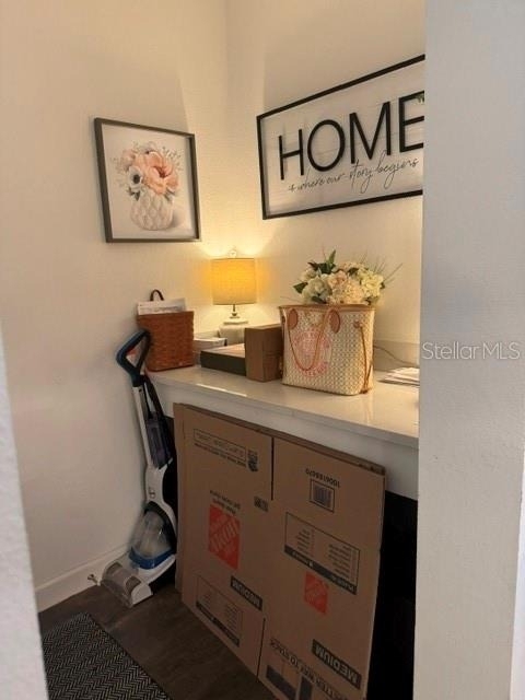 17222 Mango Shay Court - Photo 12
