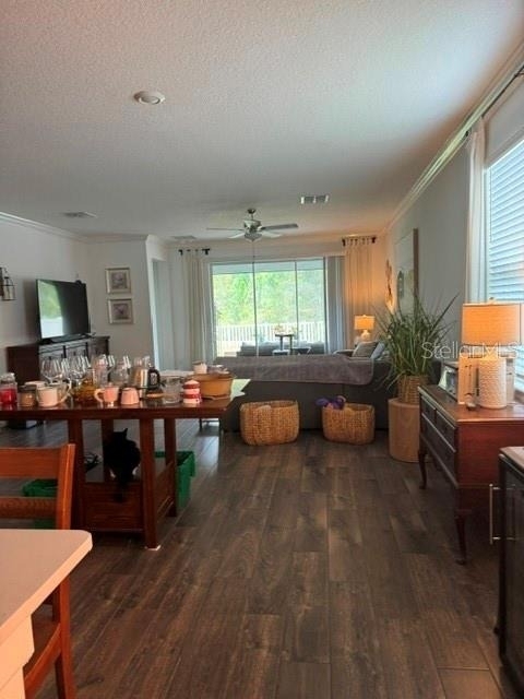 17222 Mango Shay Court - Photo 2