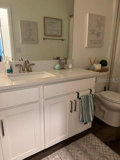 17222 Mango Shay Court - Photo 11