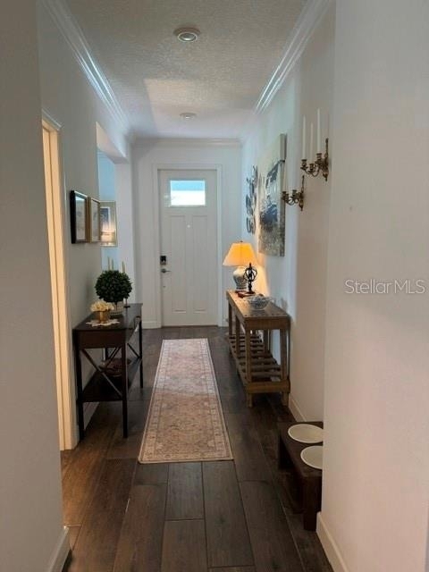 17222 Mango Shay Court - Photo 5
