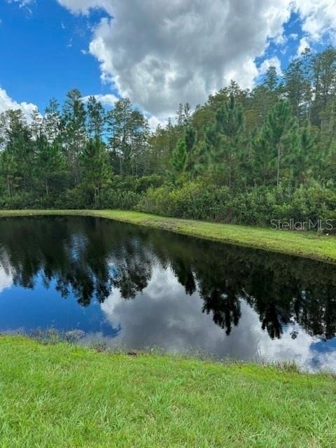 17222 Mango Shay Court - Photo 22