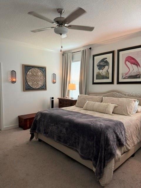 17222 Mango Shay Court - Photo 19