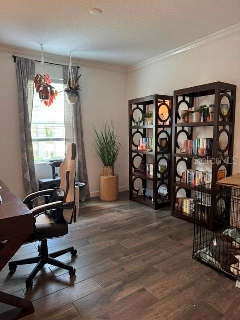 17222 Mango Shay Court - Photo 3