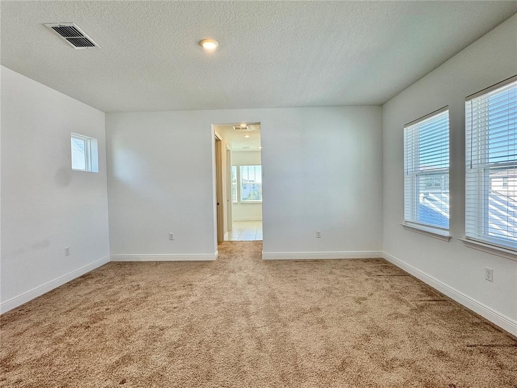 9725 Neruda Street - Photo 18