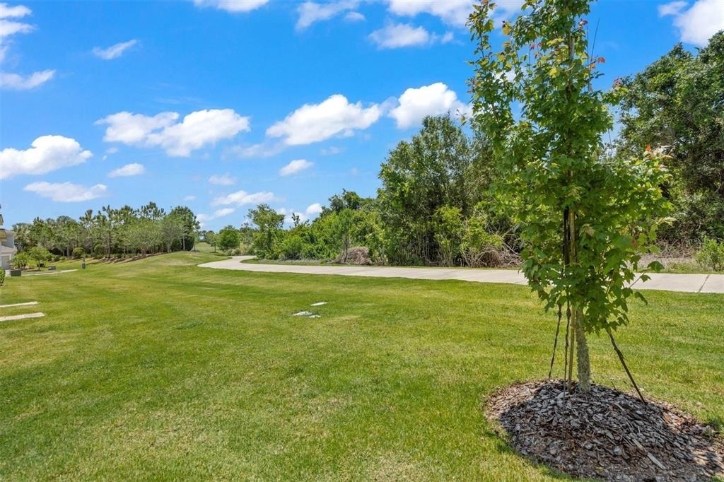 12129 Trailhead Drive - Photo 38