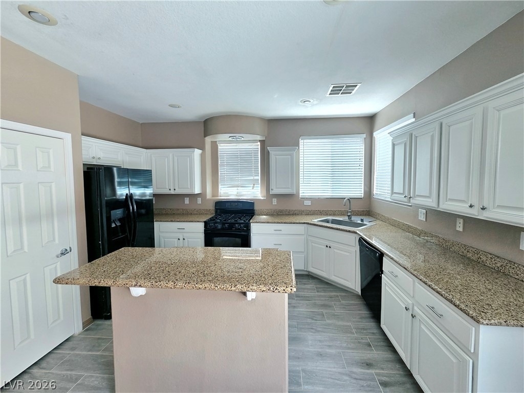 521 Newberry Springs Drive - Photo 4