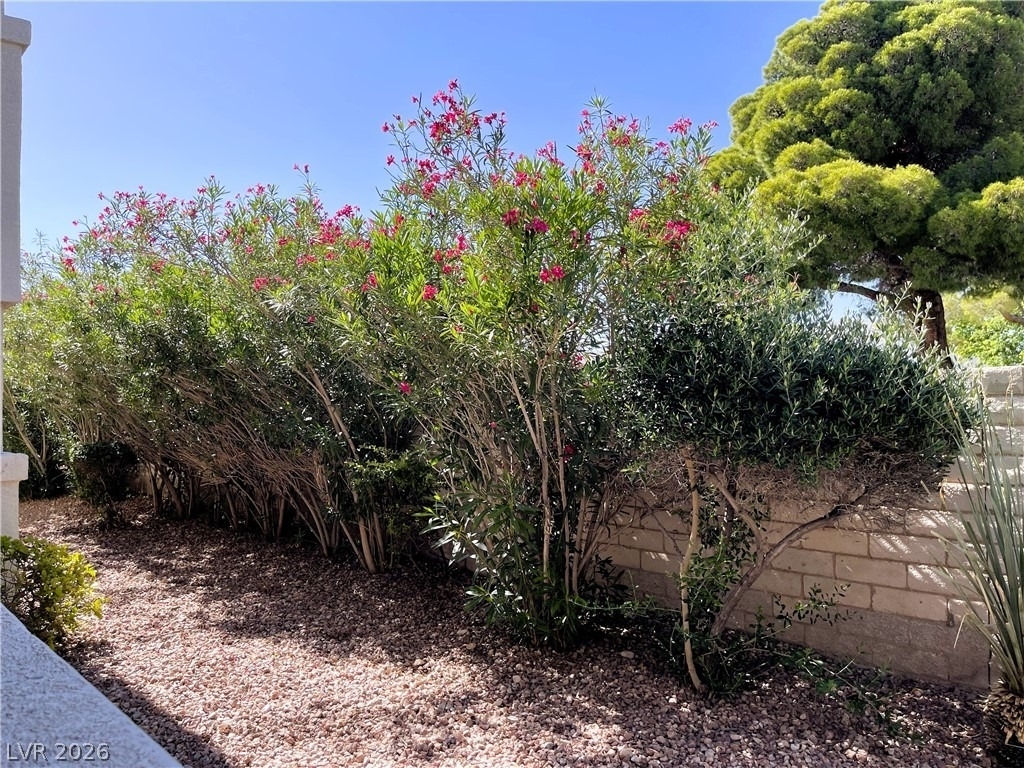 6820 San Ricardo Avenue - Photo 12
