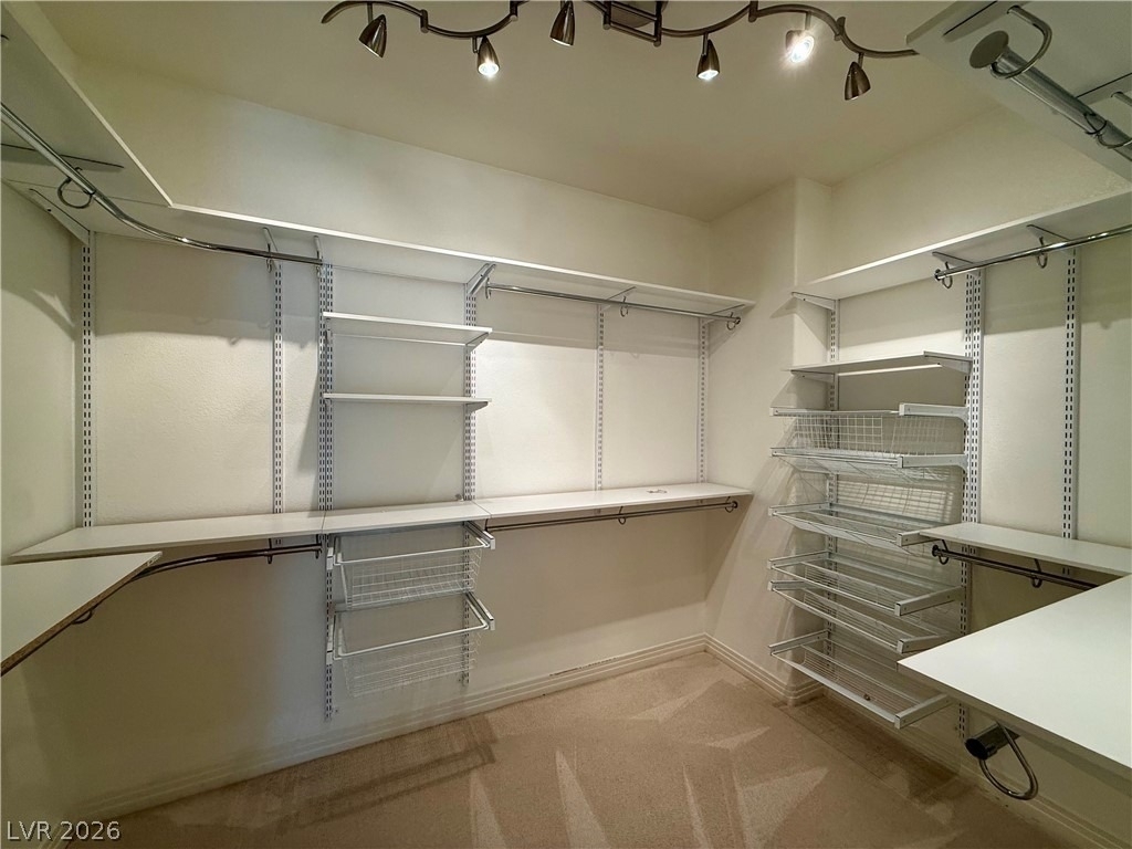 8729 Carlitas Joy Court - Photo 53