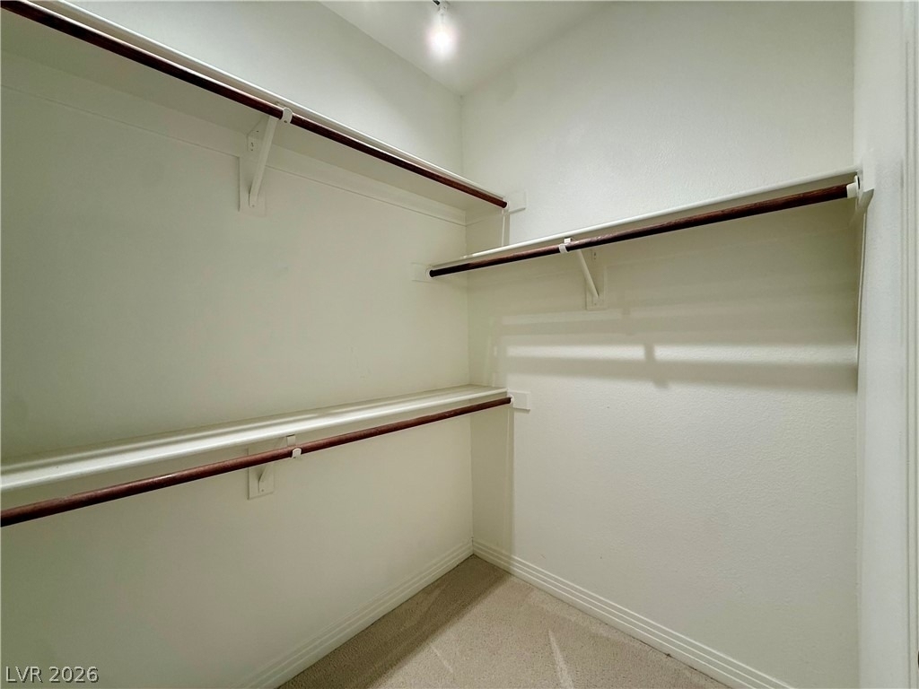 8729 Carlitas Joy Court - Photo 59