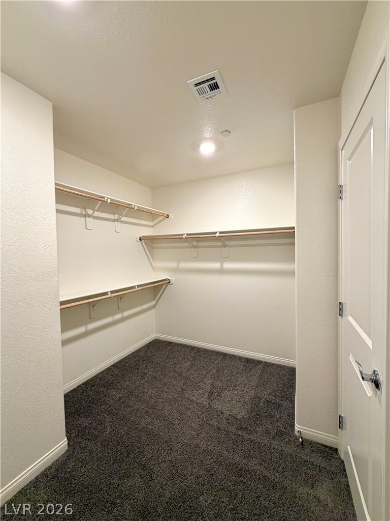 10051 Indigo Cliffs Street - Photo 34
