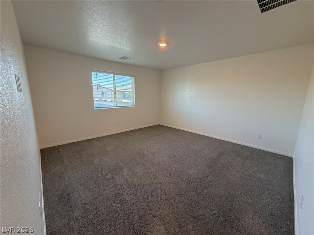 10051 Indigo Cliffs Street - Photo 29