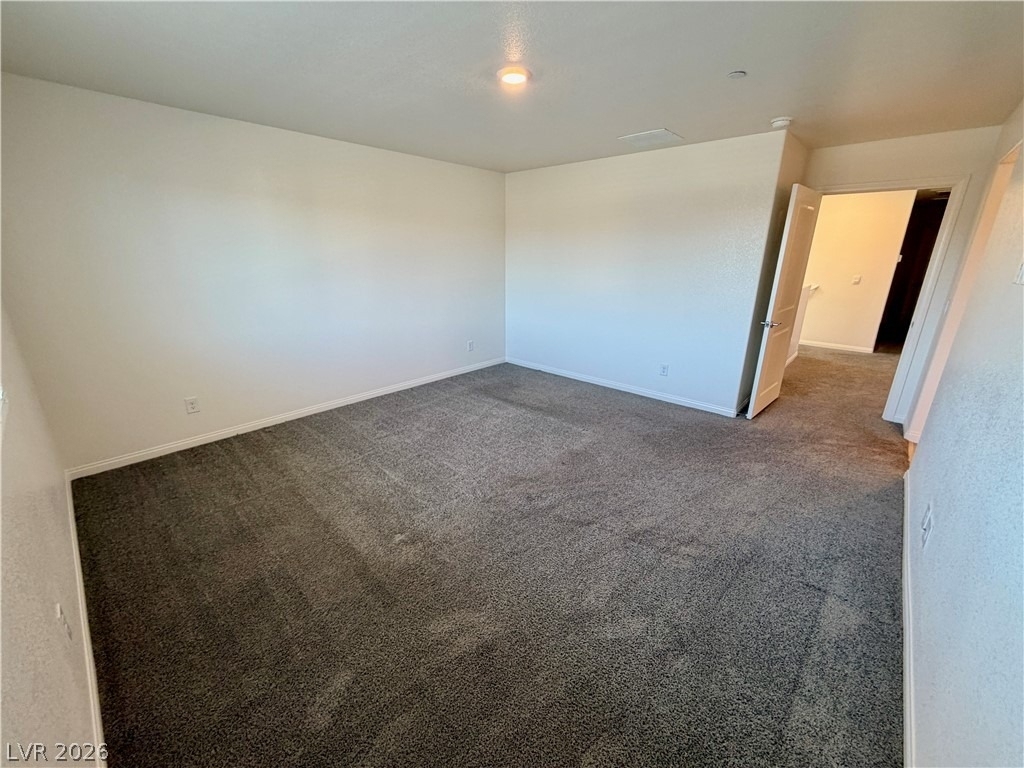 10051 Indigo Cliffs Street - Photo 30