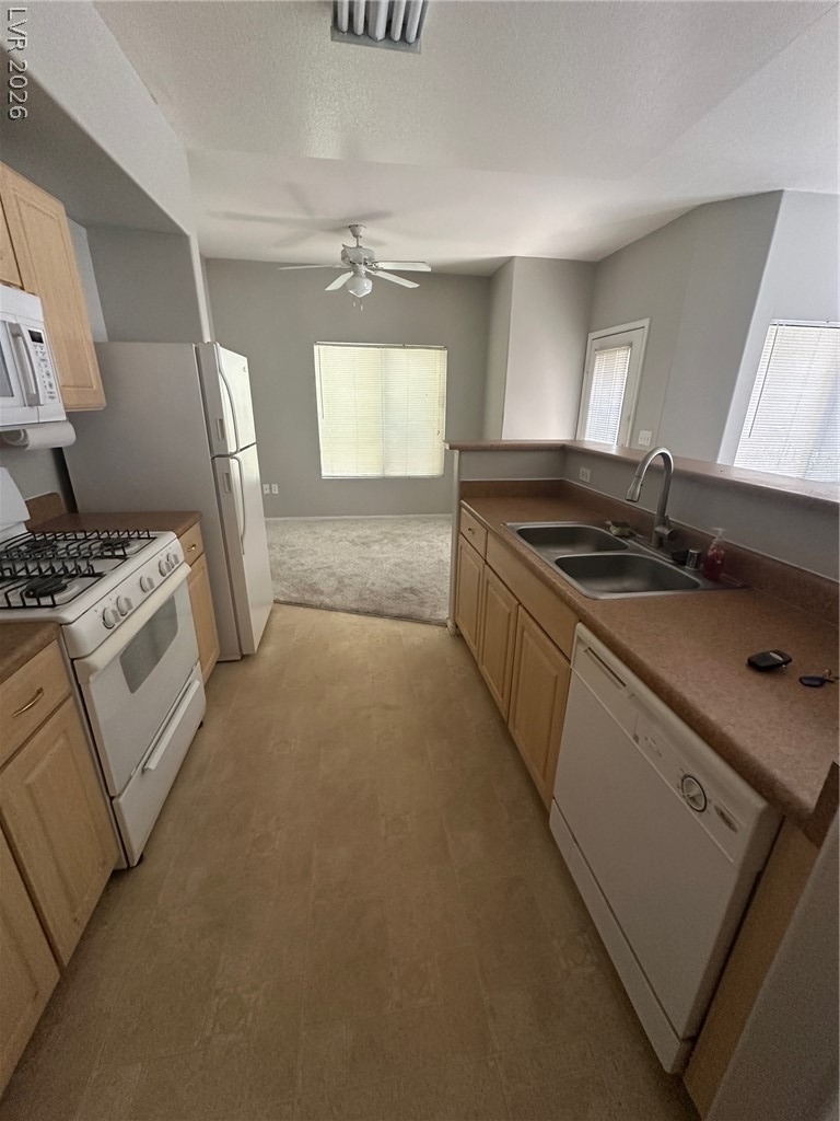 8250 N Grand Canyon Drive - Photo 6