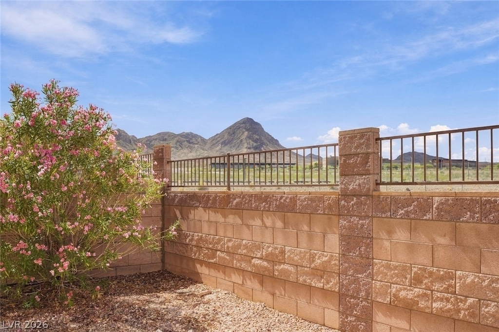 1151 Paradise Vista Drive - Photo 47