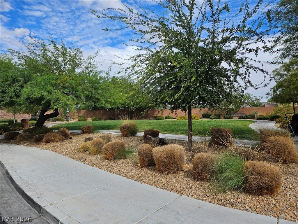 7141 Orion Bands Street - Photo 28