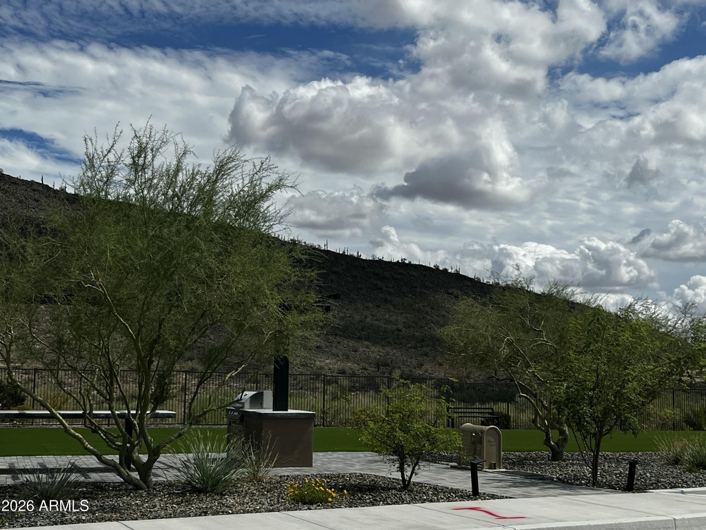 32564 N Smoke View Trail - Photo 16
