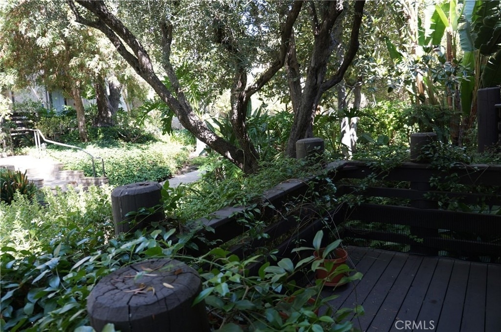 21820 Marylee Street - Photo 3