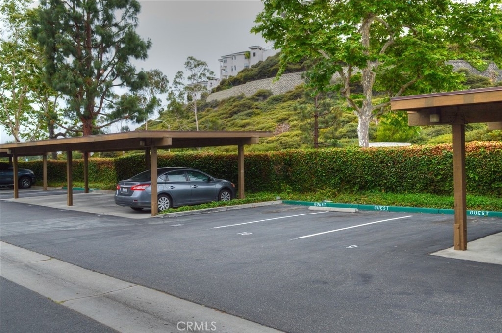 33852 Del Obispo Street - Photo 15