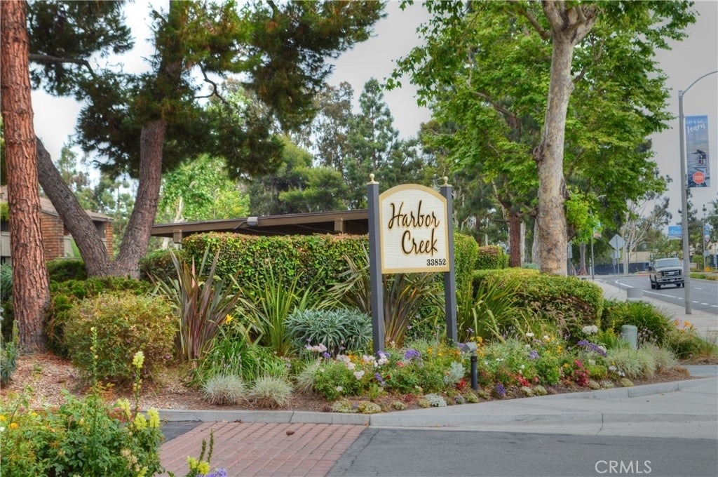 33852 Del Obispo Street - Photo 14